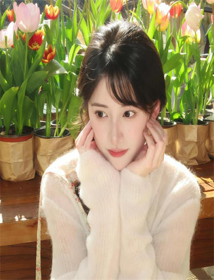 探索卡米尔的奥秘：隐藏细节与深层意义